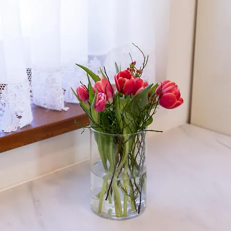 Appartement Superior Vito