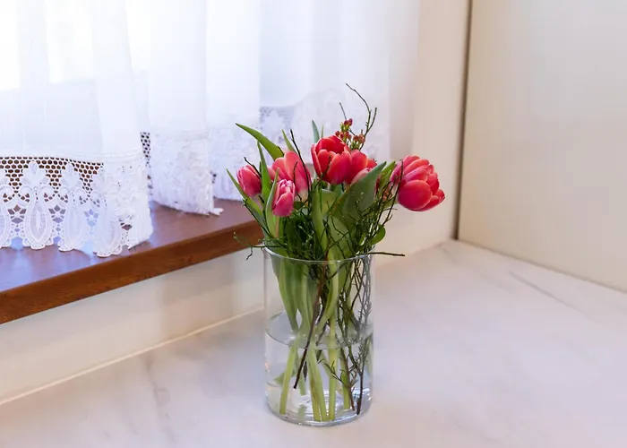 Apartamento Superior Vito